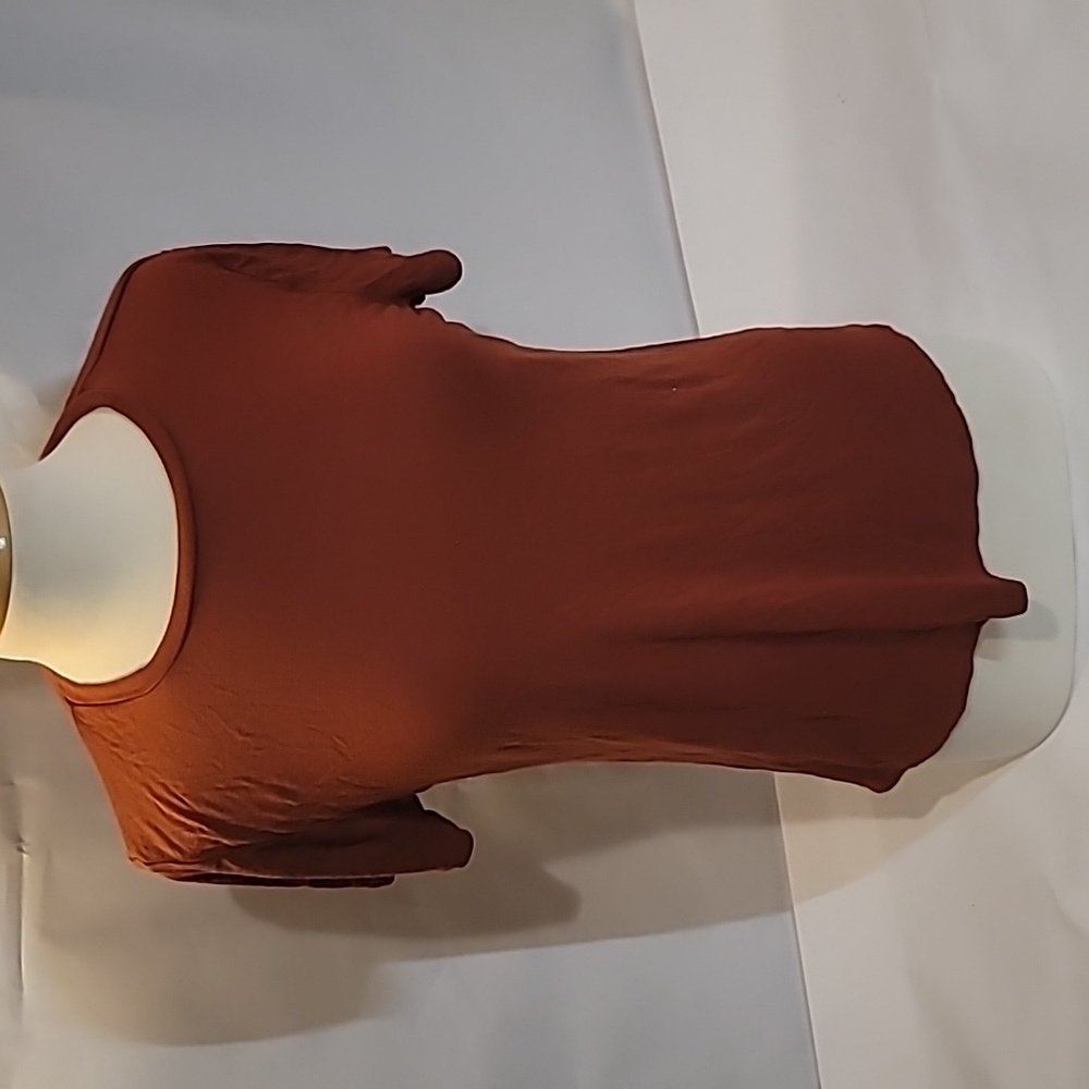 Active Basic Super Soft Tee Sz L Rust